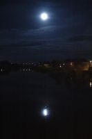 130711_62625_max_max_20081117-104347-_dsc_0280__jpg