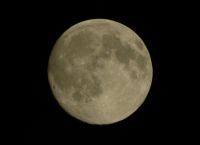 130711_62745_max_max_20081117-121500-_dsc_0236__jpg